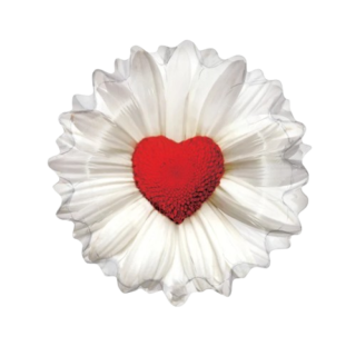 24" ANAGRAM flor margarita corazon