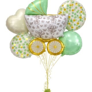 SET cochecito verde vintage pastel (5 piezas)