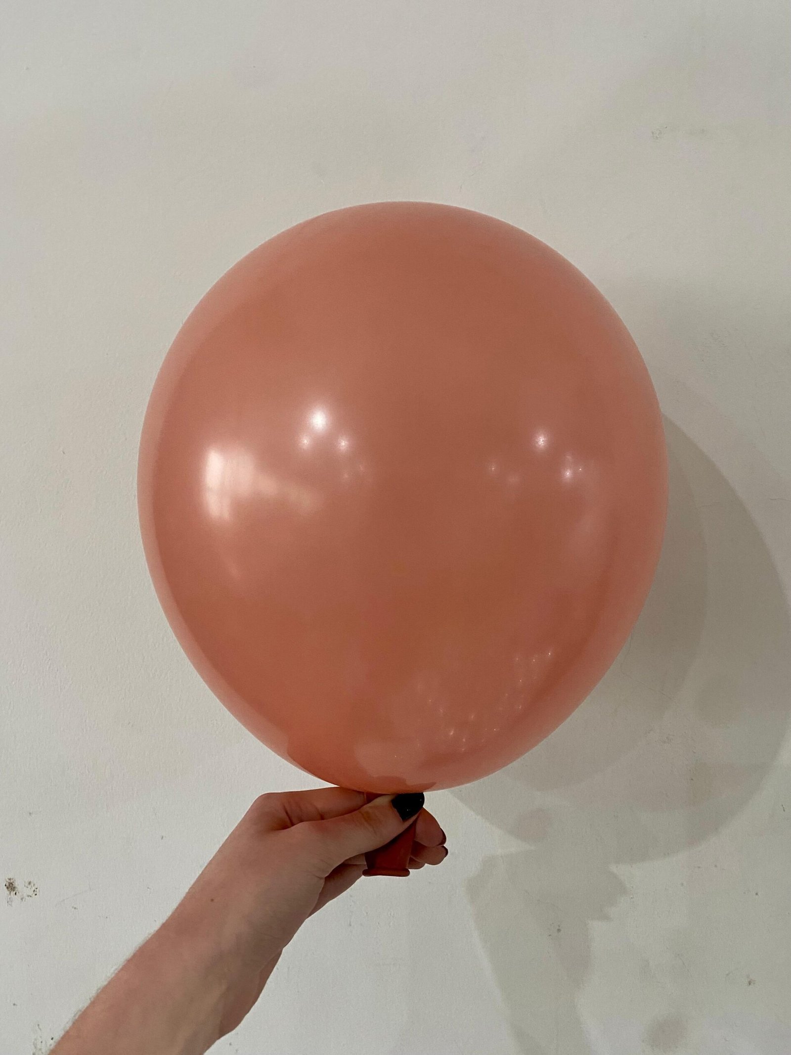 GLOBOX Standard 5″ rosa palo (50 unidades)