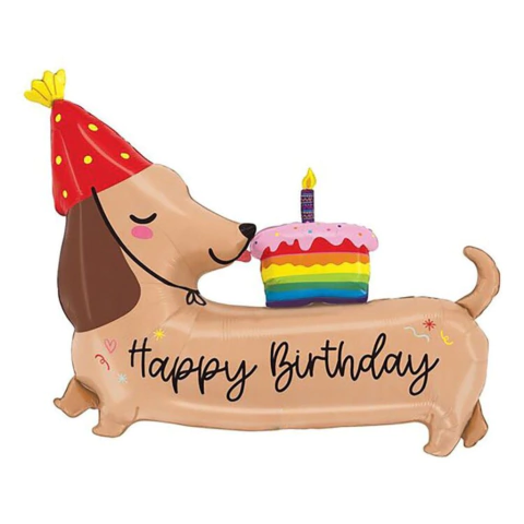 24" Perro salchicha comiendo torta